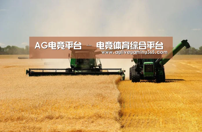 产品名称八(图1)