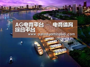 案例展示八