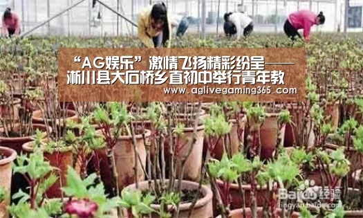 “AG娱乐”激情飞扬精彩纷呈——淅川县大石桥乡直初中举行青年教师赛课活动(图2) AG国际厅