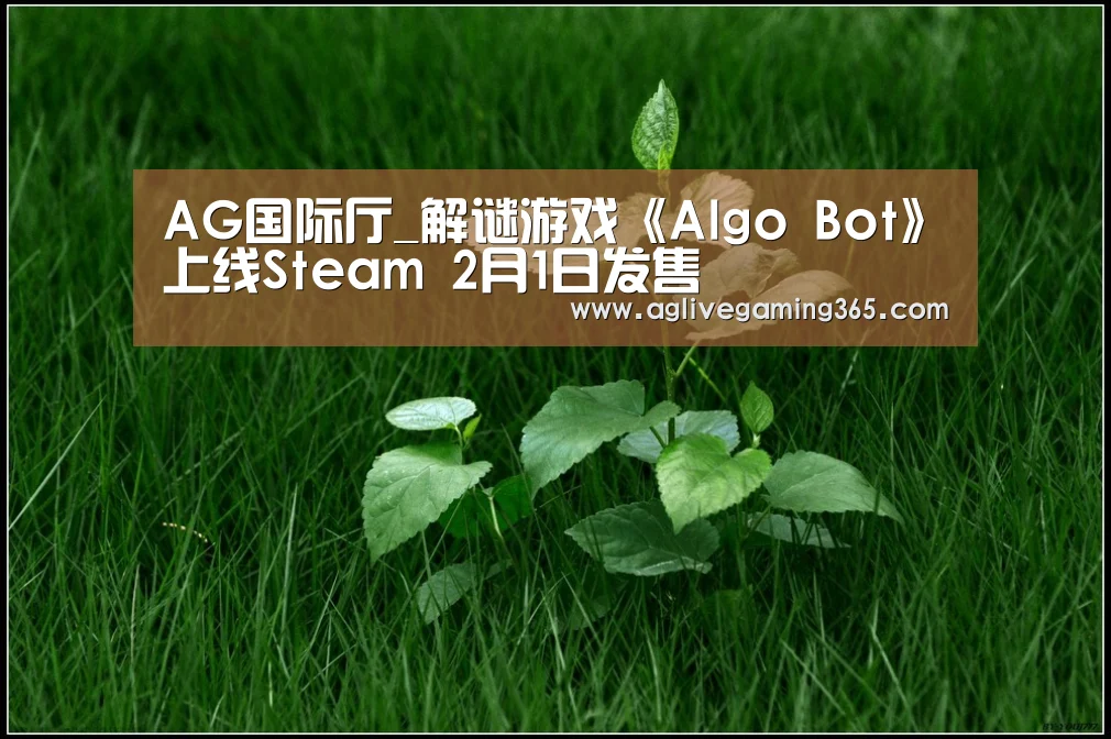AG国际厅_解谜游戏《Algo Bot》上线Steam 2月1日发售(图2) AG国际厅