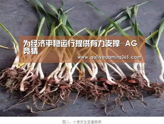 为经济平稳运行提供有力支撑-AG竞猜(图1) AG国际厅