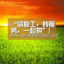 “你复工,我服务,一起拼”|AG电子(图1) AG娱乐