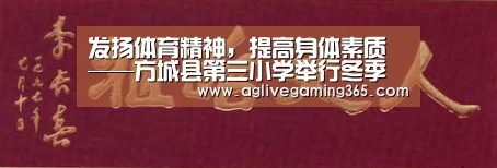 AG电子