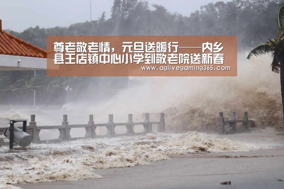 尊老敬老情,元旦送暖行——内乡县王店镇中心小学到敬老院送新春祝福“AG电子”(图4) AG国际厅