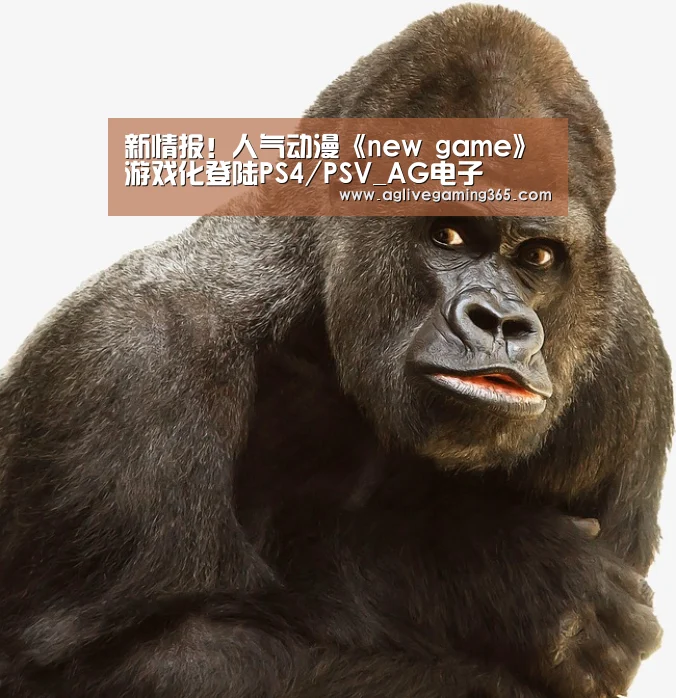 AG竞猜