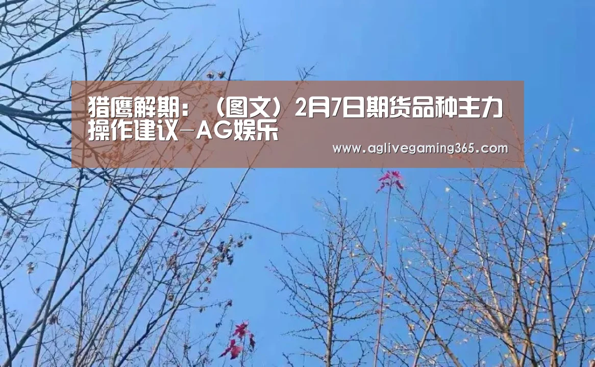 猎鹰解期:(图文)2月7日期货品种主力操作建议-AG娱乐(图2) AG电子