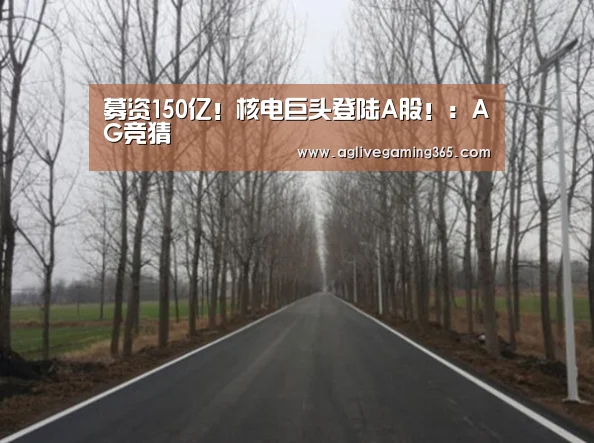 募资150亿!核电巨头登陆A股!:AG竞猜(图2) AG电子