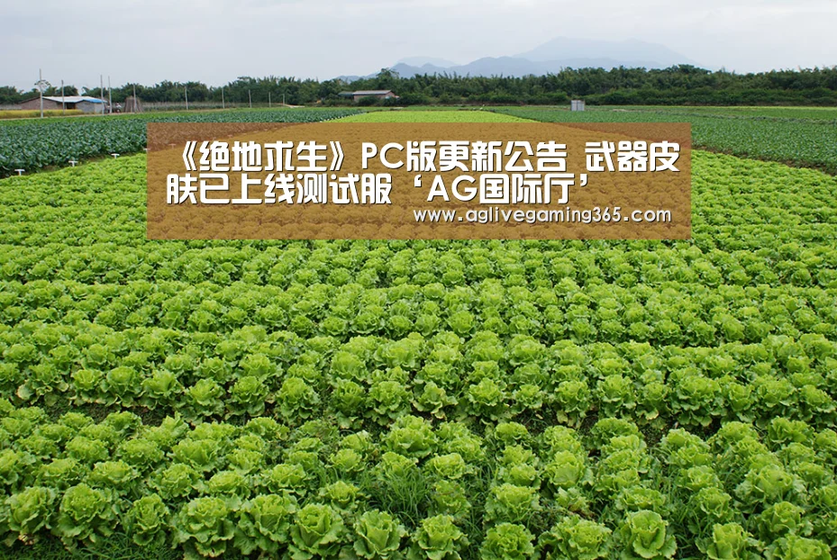 AG国际厅