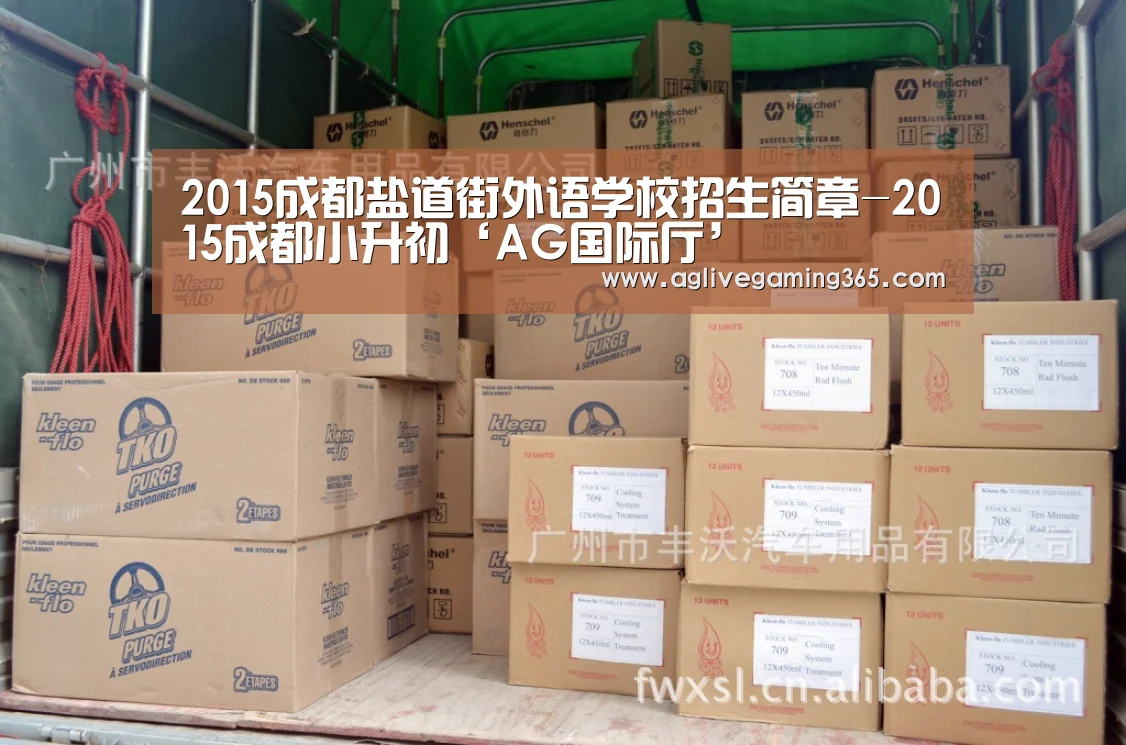 2015成都盐道街外语学校招生简章-2015成都小升初‘AG国际厅’(图4) AG娱乐