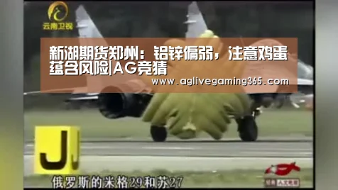 新湖期货郑州:铝锌偏弱,注意鸡蛋蕴含风险|AG竞猜(图1) AG娱乐