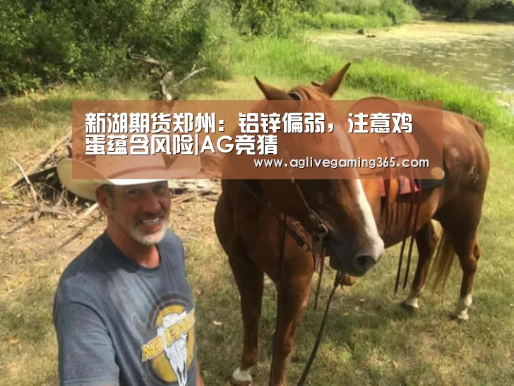 新湖期货郑州:铝锌偏弱,注意鸡蛋蕴含风险|AG竞猜(图4) AG电子
