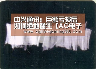 AG电子