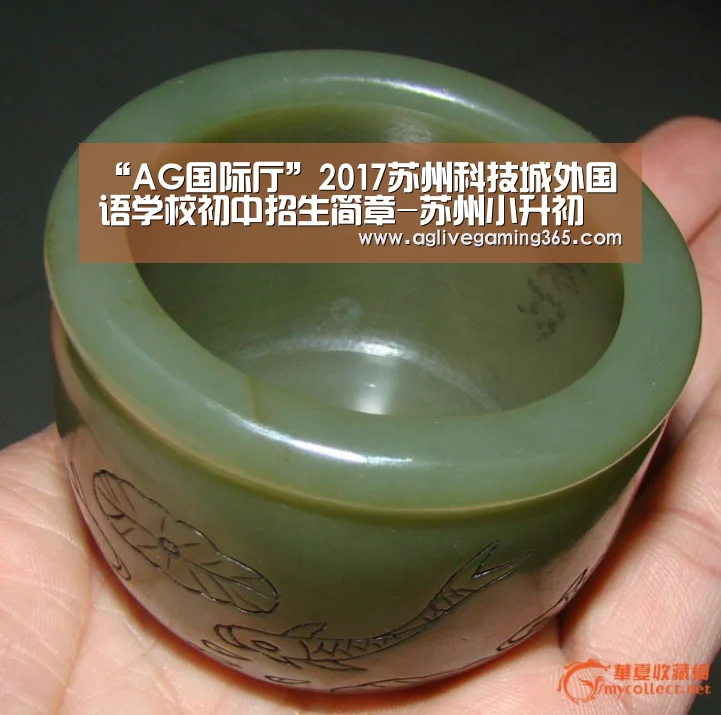 “AG国际厅”2017苏州科技城外国语学校初中招生简章-苏州小升初(图1) AG电子