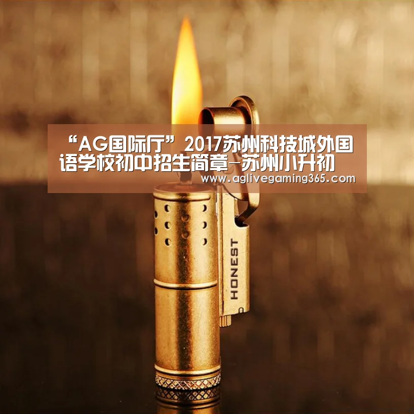 “AG国际厅”2017苏州科技城外国语学校初中招生简章-苏州小升初(图2) AG竞猜