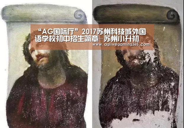 “AG国际厅”2017苏州科技城外国语学校初中招生简章-苏州小升初(图4) AG电子