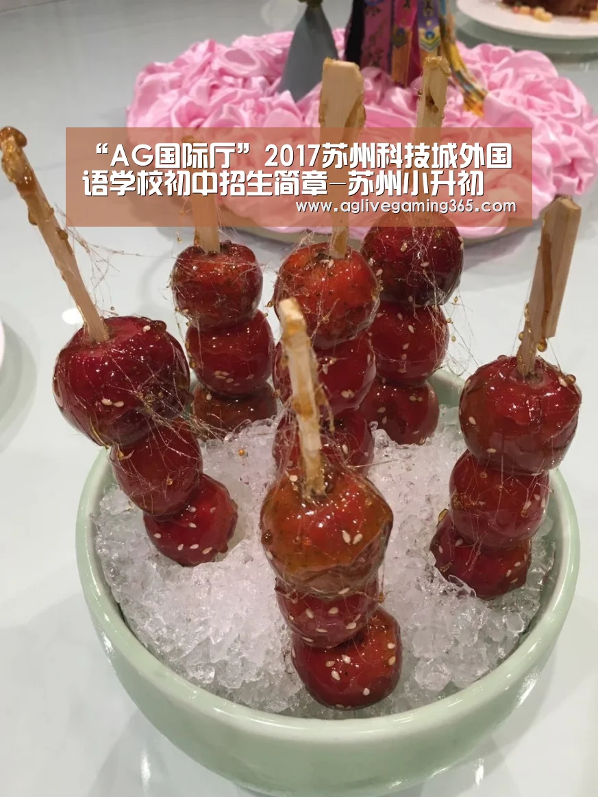 “AG国际厅”2017苏州科技城外国语学校初中招生简章-苏州小升初(图3) AG电子