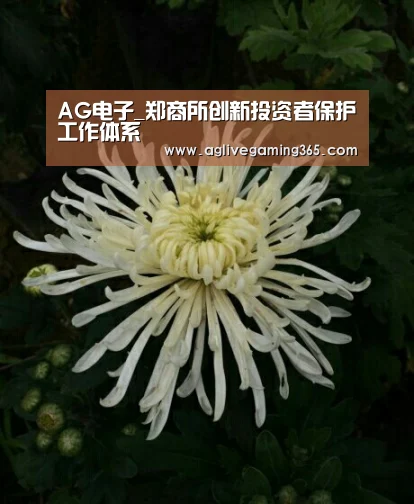 AG电子_郑商所创新投资者保护工作体系(图2) AG电子