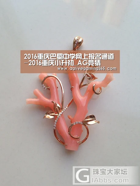 2016重庆巴蜀中学网上报名通道-2016重庆小升初_AG竞猜(图1) AG国际厅