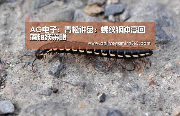 AG娱乐