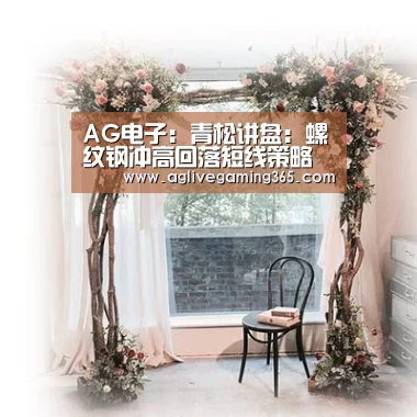AG电子